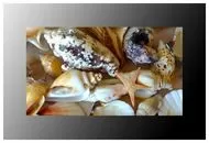 Ремонт телевизоров AGATH T365M