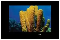 Ремонт телевизоров AquaView 52