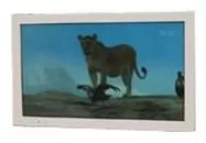 Ремонт телевизоров AquaView POD55