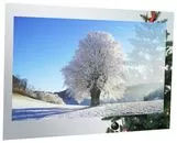 Ремонт телевизоров AVEL AVS550SM (Magic Mirror)