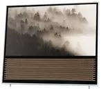 Ремонт телевизоров Bang & Olufsen BeoVision 14-55