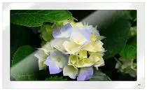 Ремонт телевизоров Inspire 65XT20LE-N