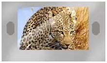 Ремонт телевизоров Inspire 65XT20LE