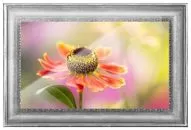 Ремонт телевизоров Inspire 82XT10-D