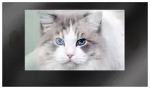 Ремонт телевизоров Inspire 82XT10