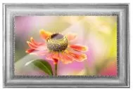 Ремонт телевизоров Inspire 82XT20LE-D