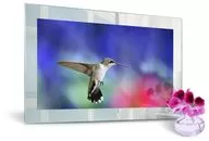 Ремонт телевизоров MIRROR MEDIA CS MIN WP IN SMART 48