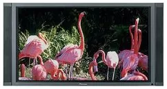 Ремонт телевизоров Pioneer PDP-505CMX