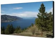 Ремонт телевизоров Sharp PN-V600