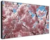 Ремонт телевизоров Sharp PN-V601