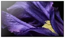 Ремонт телевизоров Sony KD-65AF9